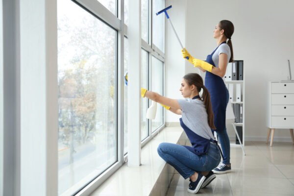 commercial window cleaning services