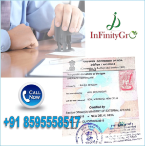 PCC Apostille Service