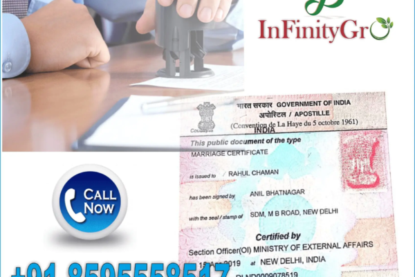 PCC Apostille Service