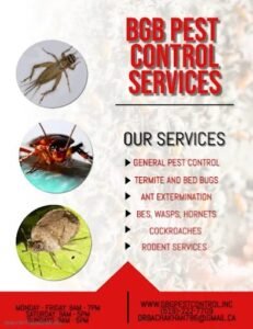 Mothballs Effective for Rats and Mice