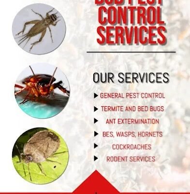 Mothballs Effective for Rats and Mice