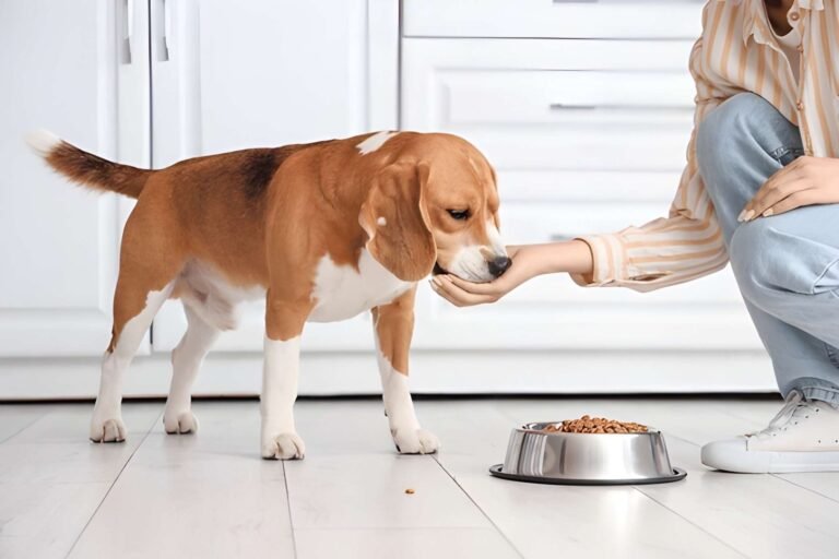 Is Grain Free Dog Food Always Healthier? Think Again!