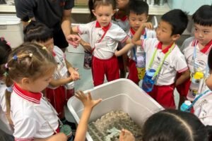 Preschool in Serangoon