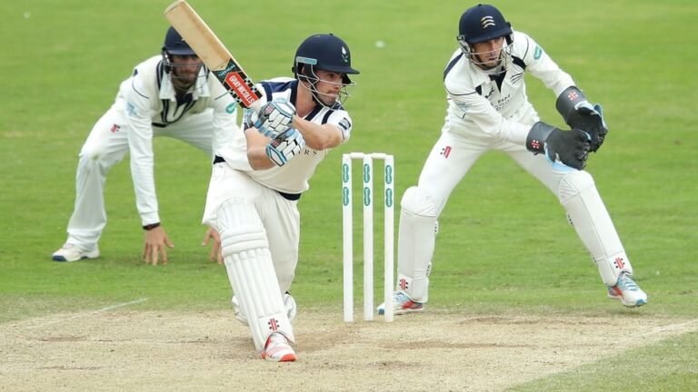Tiger Cricket ID A Comfortable Digital Experience for Cricket Fans