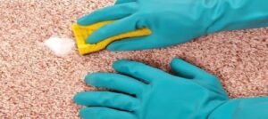 best commercial rug cleaner