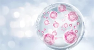 maternal cell contamination