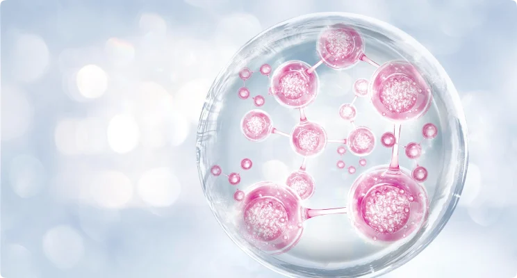 maternal cell contamination